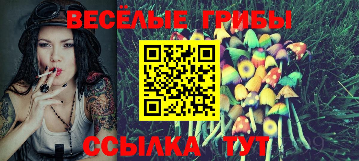 Курчатов  Псилоцибиновые грибы Magic Shrooms  Вход с VPN 