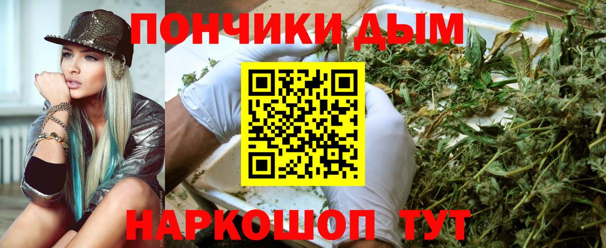 Каннабис семена  Бошки марихуана план  Курчатов  Вход с VPN 